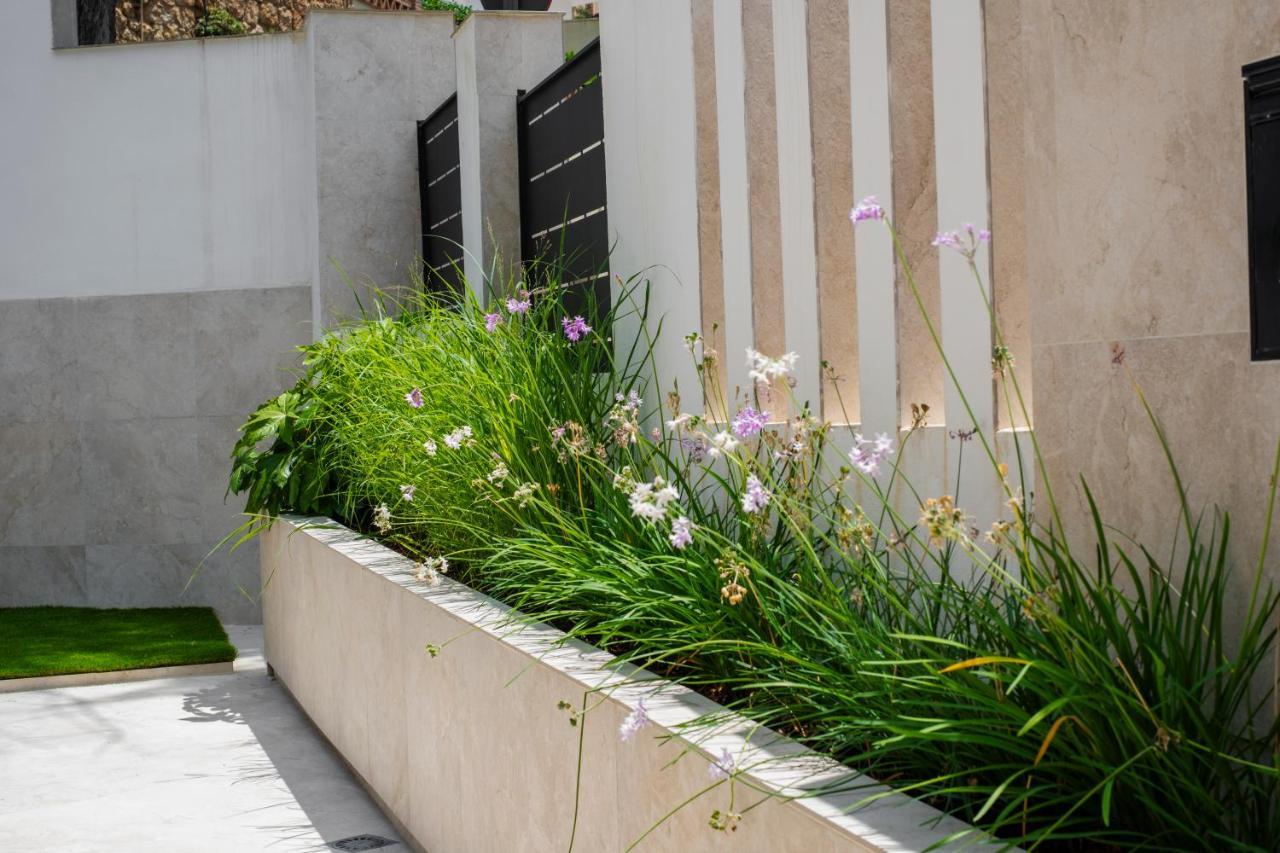 Apartamentos La Zagalilla Μάλαγα Εξωτερικό φωτογραφία